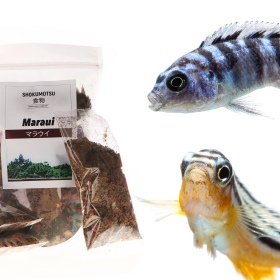 SHOKUMOTSU Maraui 220ml - food for fish from Lake Malawi